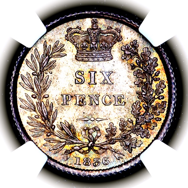 1836 William IV Sixpence Brilliant Unciluated. NGC - MS66