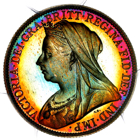 1893 Queen Victoria Proof Florin