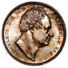 1834 King William IV Halfcrown