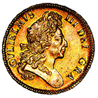 1699 King William III Five Guineas
